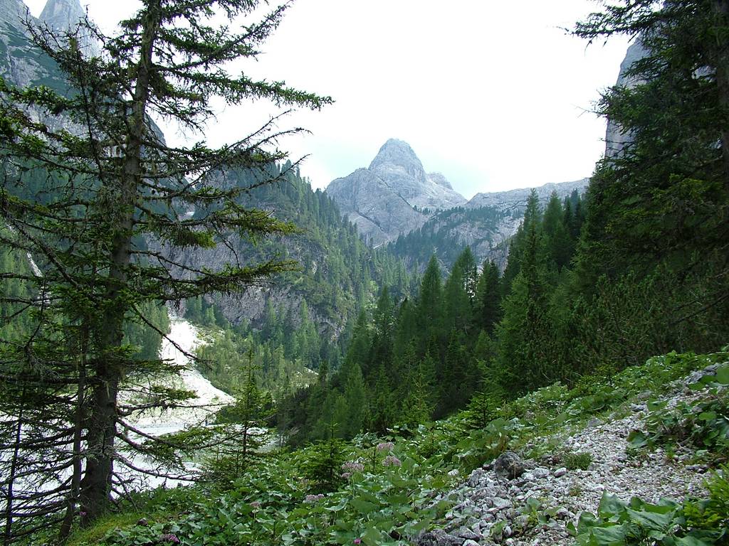 Wieder nach rechts geschaut, der Blick in das Tal, in das der Weg 105 führt. Links am Rand die Innichbachernspitze [2609m], in der Mitte der Toblinger Knoten [Torre di Toblin, 2617m].
