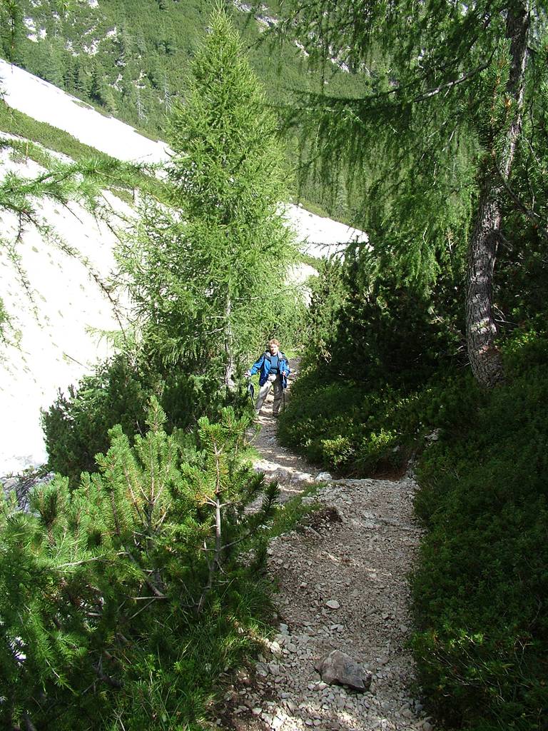 Wir sind nun unter 2000m, die Vegetation nimmt deutlich zu.
