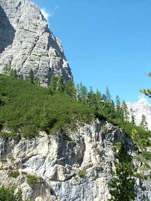 Rechts von uns, am Fuße des Morgenkopfes, kämpft die Vegetation mit dem Dolomitengestein.