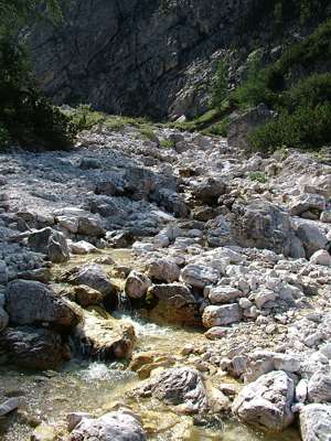 Der Weg kreuzt den R.S.Candido, einen Bach mit klarem, kaltem Wasser.