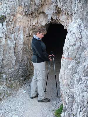 Im unteren Teil wechseln offene Passagen des Tunnels mit geschlossenen.
