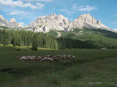 Die Alm n&ouml;rdlich vom Campingplatz in der Abendsonne.