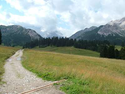 Wir gehen den Weg 3, der gegen&uuml;ber dem Berggasthof in die Wiesen abzweigt.