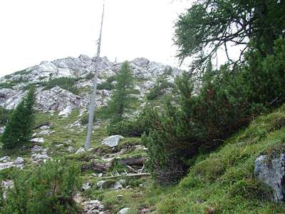 Es wird felsig und die Anstiege nehmen zu. Wir bewegen uns in Richtung Schlechtgaisl [La Crodaccia, 2531m], um deren Fu&szlig; wir herumwandern.