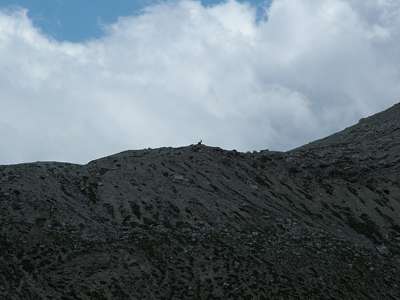 Vom H&ouml;henzug am Fu&szlig; der Hohen Schlechtgaisl [Crodaccia Alta, 2967m] schaut ein Steinbock zu uns her&uuml;ber.