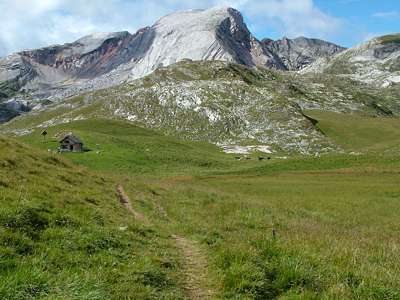 Nachdem ich einsehen musste, dass auf dem Weg 26 die Runde zu gro&szlig; werden w&uuml;rde, kehren wir zur H&uuml;tte zur&uuml;ck. Doch nicht nur wir sind auf dem Marsch dorthin...