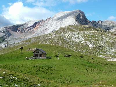 Ja, sie wollen zur H&uuml;tte, und sie sind schneller als wir.