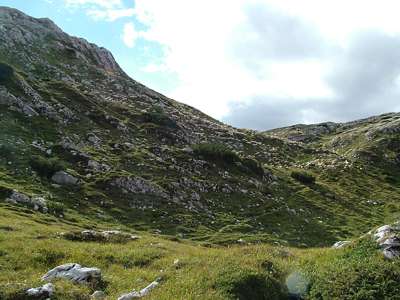 Wir wandern die Stra&szlig;e entlang, als sich auf einmal ein Natur-Puzzle vor uns auftut. Was ist ein Stein und was ein Schaf? Der ganze Hang scheint zu leben.