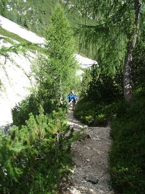 Wir sind nun unter 2000m, die Vegetation nimmt deutlich zu.