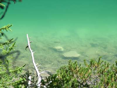 Es gibt hier auch Fische, das spricht f&uuml;r die Sauberkeit des Wassers.