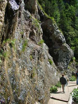 Die ganze Felswand ist feucht und gl&auml;nzt in der Nachmittagssonne.