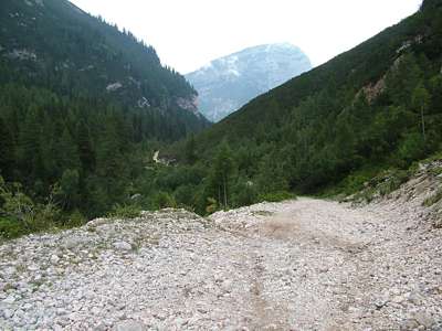 Wir sind jetzt auf einer H&ouml;he von ungef&auml;hr 1700 Metern. Der Berg vor uns im Nebel ist der Col Rosa [2166m].