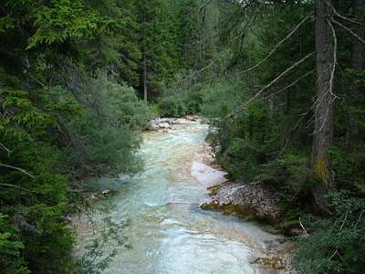 In der anderen Richtung fließt der Fluss romantisch durch den Wald.