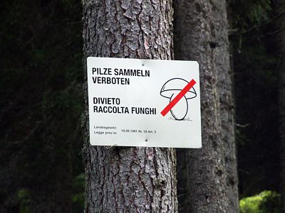 Überall solche Schilder, hier machen wohl viele Italiener Urlaub - sie sammeln gern Pilze.