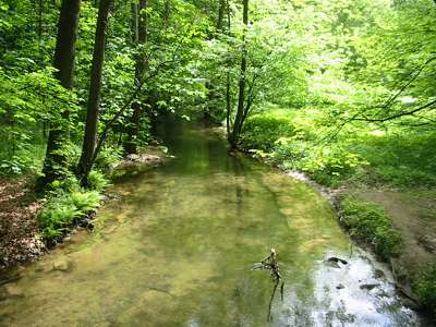 Blick von der Br&uuml;cke - das Wasser ist glasklar.