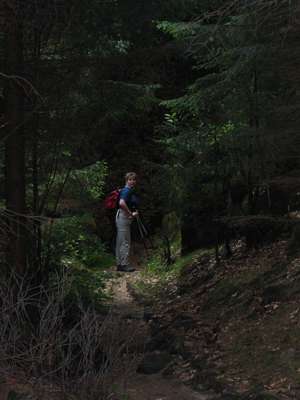 Und da traf sie mitten im finsteren Wald ein Lichtstrahl...