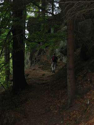 Auf dem weichen Waldboden l&auml;sst es sich herrlich wandern.