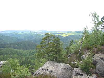 Es ist immer wieder imposant, wie sich die B&auml;ume an die Felsen geklammert, freistehend behaupten k&ouml;nnen.