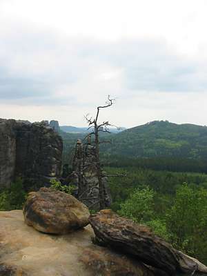Dieses Bild hat ein wenig Western-Athmosph&auml;re, auf dem Baum m&uuml;sste nur noch ein Geier sitzen.