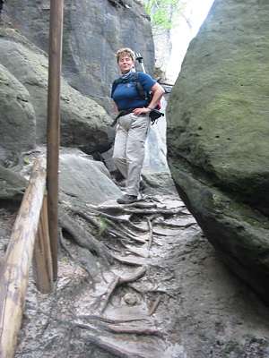 Da vorn kreuzt der Wanderweg.