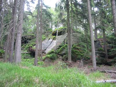 Ein imposanter Felsen, Evi meint - ein Panzer.