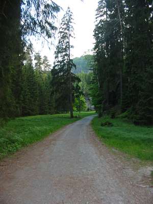 Blick voraus in Richtung Affensteine.