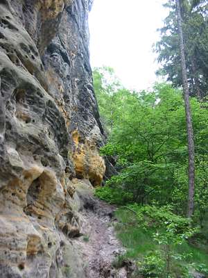 Die Umwelt nagt st&auml;ndig am Sandstein.