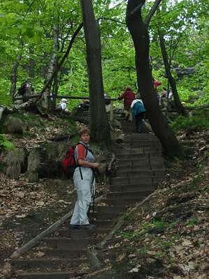 ...weil uns nun nur noch die Treppe von der Wegkreuzung trennt.