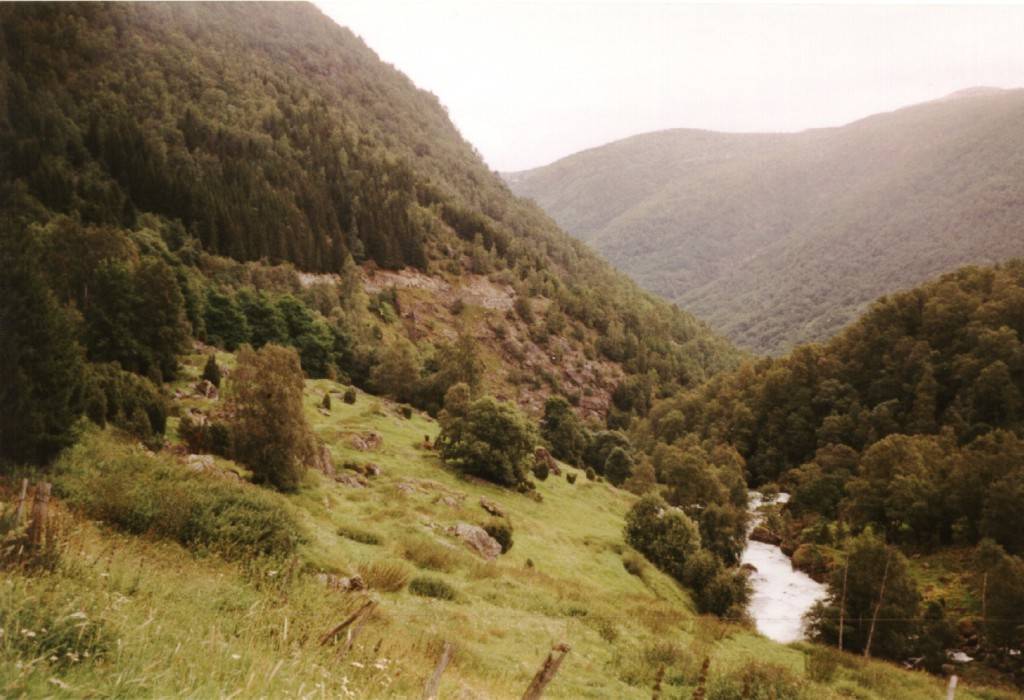 Durch dieses schmale Tal zieht sich der Aurlandsvegen.