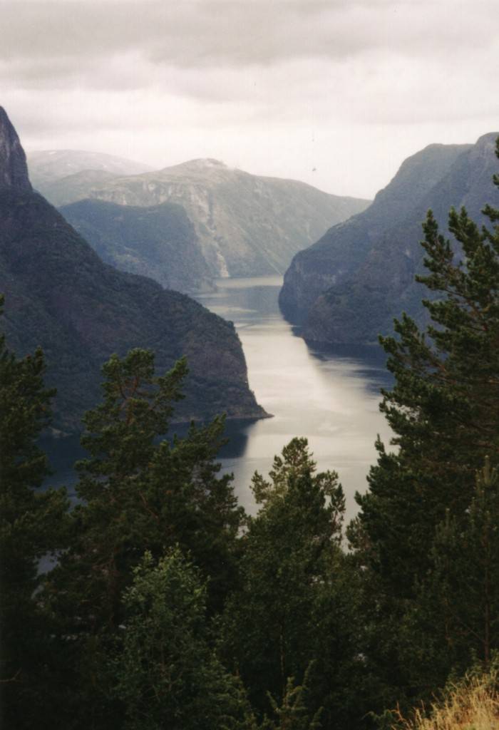 Ein wunderbarer Blick von den Serpentinen über Aurland in den Aurlandsfjorden hinunter.
