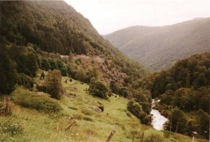 Durch dieses schmale Tal zieht sich der Aurlandsvegen.