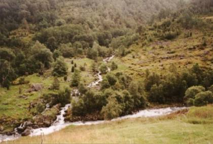 Dieses Tal ist sehr idyllisch und durch den vielen Regen sind die B&auml;che gut gef&uuml;llt.