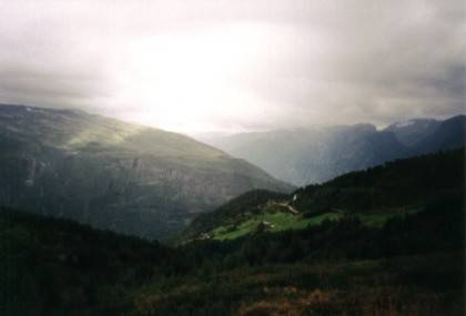 Hier gibt es auch wieder Baumwuchs, die Stra&szlig;e schl&auml;ngelt sich zum Fjord hinunter.
