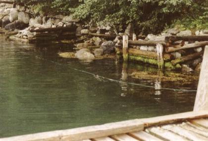 In der Mitte des Bildes sieht man beim genauen Hinschauen den norwegischen Otter (unter der Leine). Diese Tiere sind flink, da hatte Evi keine Chance.