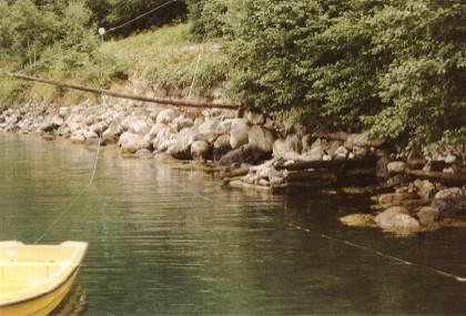 Auf dem zweiten Foto ist er schon nicht mehr zu sehen, aber so haben wir eine sch&ouml;ne Aufnahme vom Strand neben dem Steg, im Hintergrund sieht man die Auffahrt zum Zeltplatz.