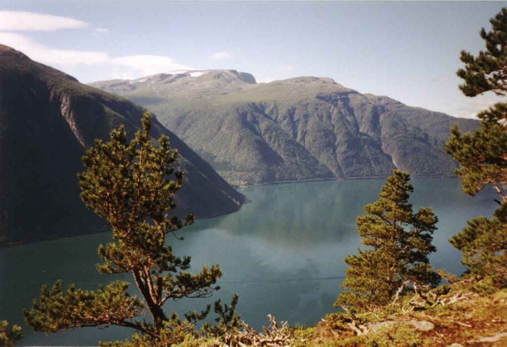 Beim Aufstieg hat man immer wieder Ausblick auf den Årdalsfjorden und das gegenüberliegende Bergmassiv bei Kaupanger.
