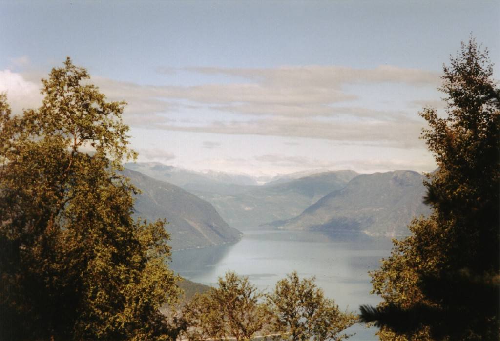 Blick in Richtung Nord-West, dort geht der Lærdalsfjorden in den Sognefjorden über. In der Ferne sieht man das Leikanger - Gebirge, auch da gibt es Gletscher.