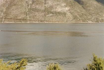 Blick auf den Fjord zwischen Manheller und Fodnes. Wir haben sch&ouml;nes, sonniges, windstilles Wetter, Schweinswale sind leider nicht zu sehen.