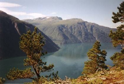 Beim Aufstieg hat man immer wieder Ausblick auf den Årdalsfjorden und das gegenüberliegende Bergmassiv bei Kaupanger.