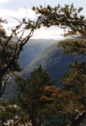 Blick in Richtung Manheller, links ist die Bucht von Kaupanger zu erkennen.
