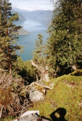 Norwegen 2003: Eine dreiw�chige Reise nach Norwegen an den Sognefjord