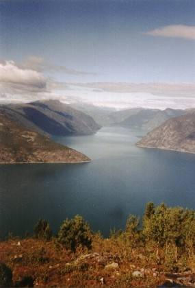 Noch einmal ein Foto vom Lustrafjorden, dann wandern wir weiter.
