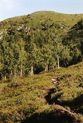 Auf diesen Berg hinauf f&uuml;hrt uns der Weg. Hier oben ist es herrlich.