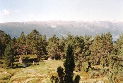 Blick von oben auf die Lichtung und die H&uuml;tte bei Hola.