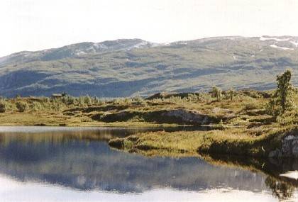 Die Husatjerni-Seen, hier ist es wundersch&ouml;n. In der Ferne sind die Berge Reindalsfjellet und Rambertinden mit ihren Schneefeldern zu sehen.
