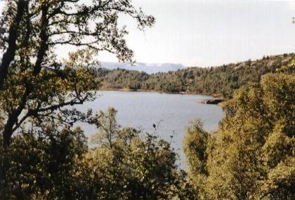 Der erste Blick auf den See Kongsvatnet. Am &ouml;stlichen Ufer kommt man nur schwer an ihn heran.