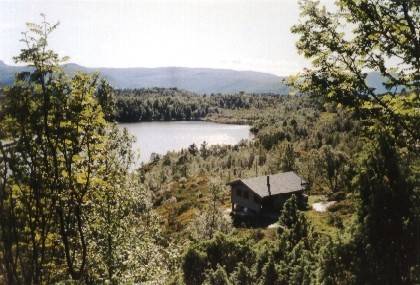 Hier hat ein Norweger sein einsames Wochenend-Domizil errichtet. Von hier oben aus kann man den westlichen Teil des Kongsvatnet sehen.