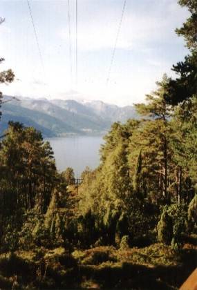 Hinter uns die H&uuml;tte - jetzt wird's steil. Der Baumbewuchs wird wieder dichter.