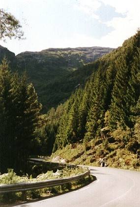 Ganz da oben f&uuml;hrt die Stra&szlig;e zum Aussichtspunkt.