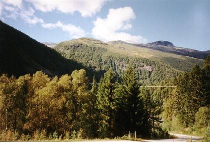 Wir sind wieder unten im Tal. Auf dem Berg vor uns kann man sehr sch&ouml;n die Baumgrenze erkennen.